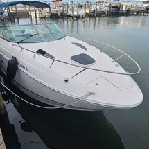 Sea Ray 260 Sundancer