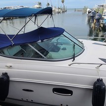 Sea Ray 260 Sundancer