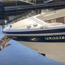 Four Winns H310