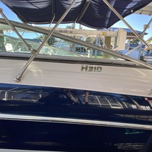 Four Winns H310