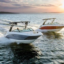 Sea Ray SDX 250