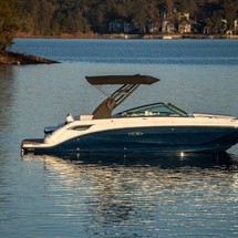 Sea Ray SDX 250