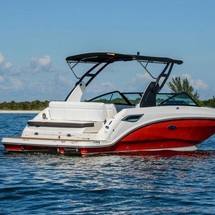 Sea Ray SDX 250