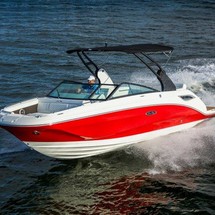 Sea Ray SDX 250