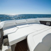 Sea Ray SDX 250