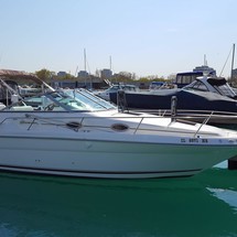 Sea ray sundancer