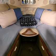Sea ray sundancer