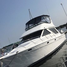 Bayliner 3988