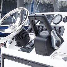 Yamaha 210 FSH Sport