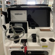 Angler Pro Boats 2900 center console