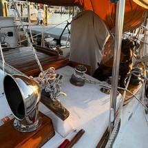 Tayana 37