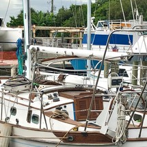 Tayana 37