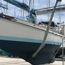Tayana 37
