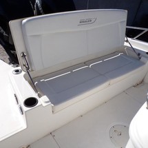 Boston Whaler 270 Dauntless