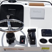 Sea Ray pro 208 bay