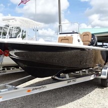 Sea Ray pro 208 bay