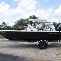 Sea Ray pro 208 bay