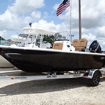 Sea Ray pro 208 bay