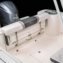 Robalo centre console r272