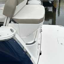 Regal 30 Express