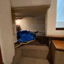 Sea Ray 310 Sundancer