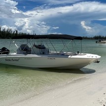 Boston Whaler 270 Dauntless
