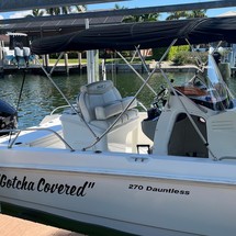 Boston Whaler 270 Dauntless