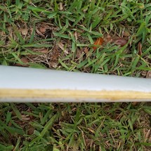 Laser Performance Vago