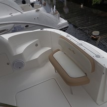 Sea ray sedan bridge
