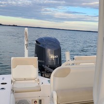 Everglades 243 cc