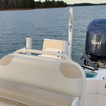 Everglades 243 cc