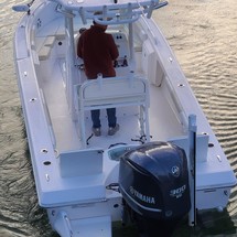 Everglades 243 cc