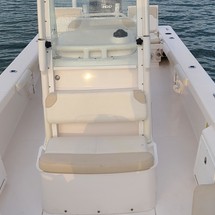 Everglades 243 cc