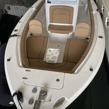 Sea Ray hunt ultra 211