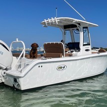 Sea Ray hunt ultra 211