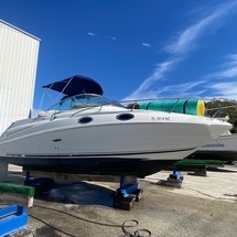 Sea ray sundancer