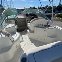 Sea ray sundancer