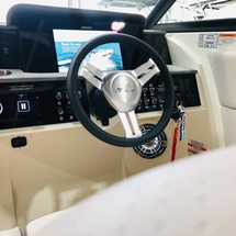 Sea Ray 270 SDX OB