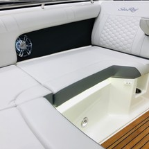 Sea Ray SDX 270 OB