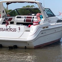 Sea Ray 280 Sundancer