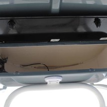 Key west 230 bay reef