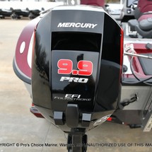 Everglades 230 cc w/ 250 verado