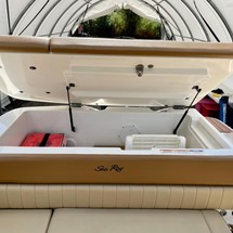 Sea Ray SPX 230 OB