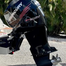 Sea Ray SPX 230 OB