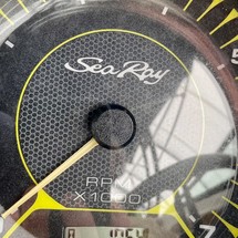 Sea Ray SPX 230 OB