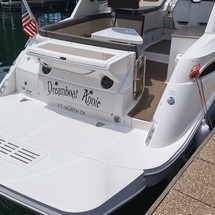 Sea Ray 350 Sundancer
