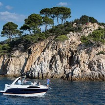 Bayliner Ciera 8
