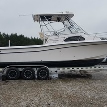 Grady white 282
