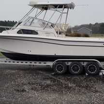 Grady white 282