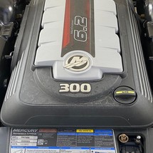 Sea Ray SDX 250